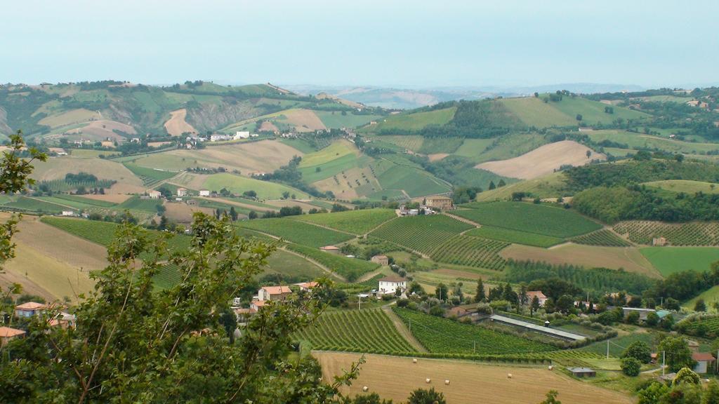 Agriturismo Il Sentiero Vila Montalto delle Marche Exterior foto
